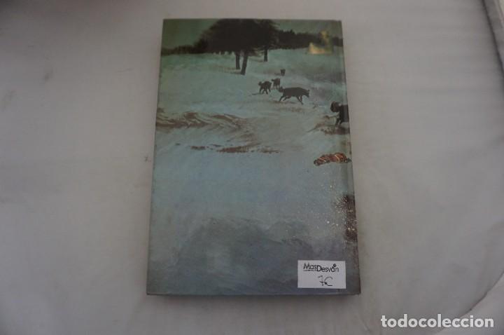 C&oacute;mics: 18D/ LA LLAMADA DE LA SELVA Y COLMILLO BLANCO - JACK LONDON / CLASICOS DE LA JUVENTUD - Foto 7