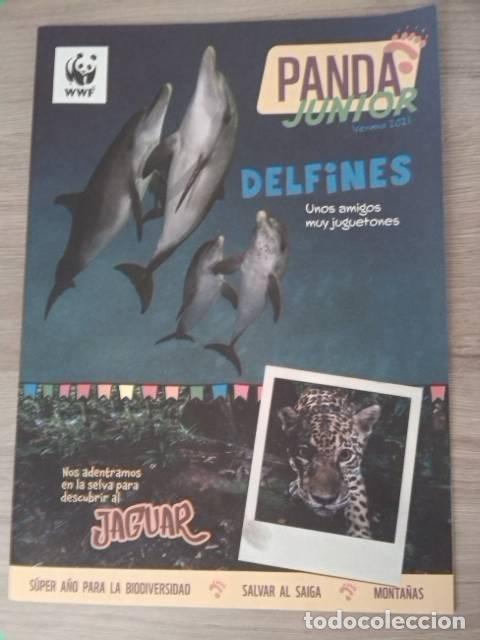 C&oacute;mics: Panda Junior. Delfines. Jaguar. Verano 2021. - Foto 1