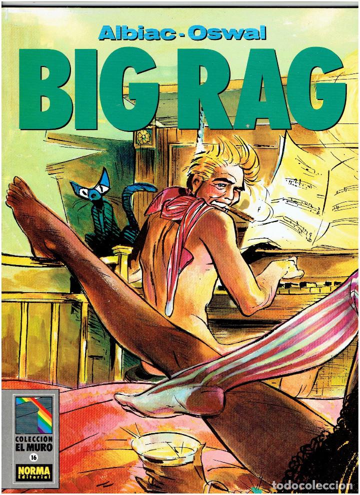 C&oacute;mics: * COLECCI&Oacute;N EL MURO * NORMA EDITORIAL 1990 * LOTE DE 10 N&ordm; EXCELENTES * - Foto 15