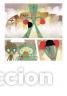 C&oacute;mics: C&oacute;mics. El camino perdido - Am&eacute;lie Fl&eacute;chais (Carton&eacute;) - Foto 5