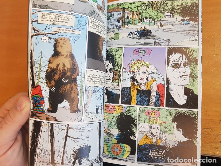 C&oacute;mics: The Sandman: Vidas breves. Libro 2 - Neil Gaiman - Foto 4