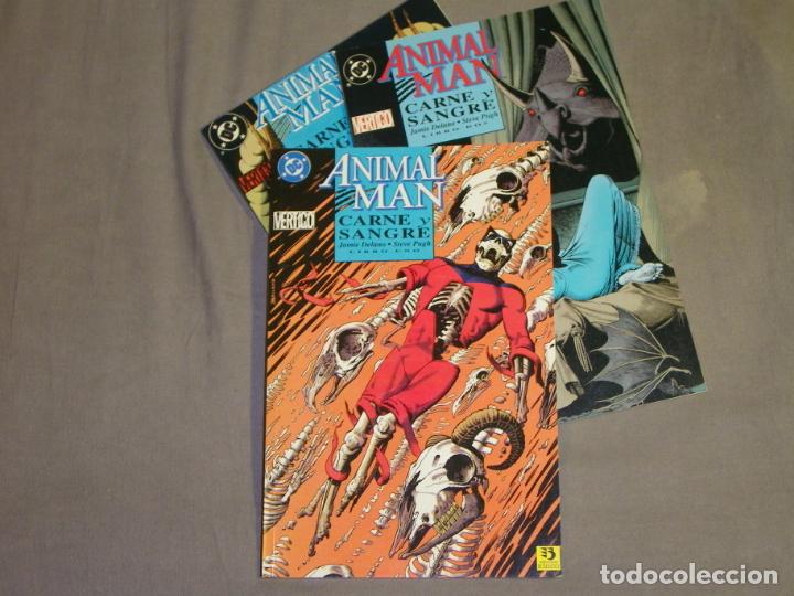 C&oacute;mics: ANIMAL MAN - CARNE Y SANGRE - COMPLETA - 1 AL 3 EDICIONES ZINCO - Foto 1