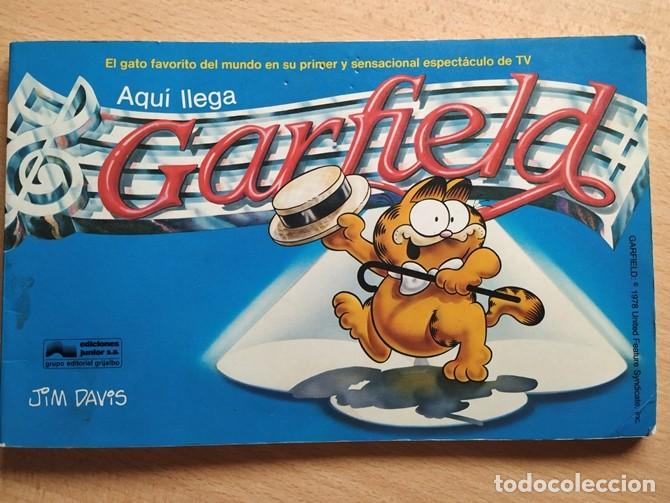 C&oacute;mics: AQU&Iacute; LLEGA GARFIELD - Foto 1