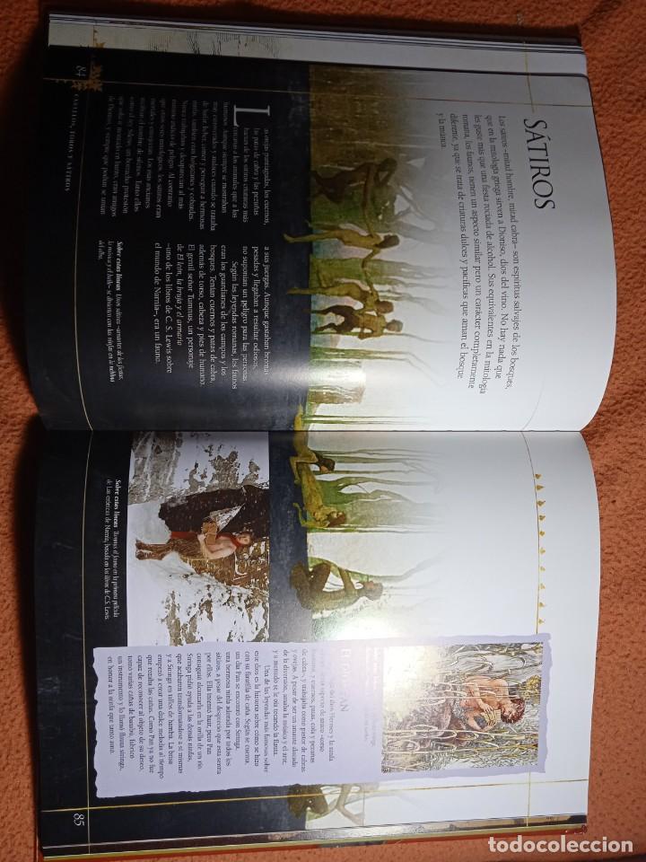 C&oacute;mics: Enciclopedia de las criaturas m&aacute;gicas -Julia Bruce - Foto 4