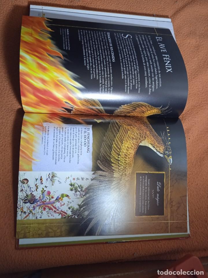 C&oacute;mics: Enciclopedia de las criaturas m&aacute;gicas -Julia Bruce - Foto 6