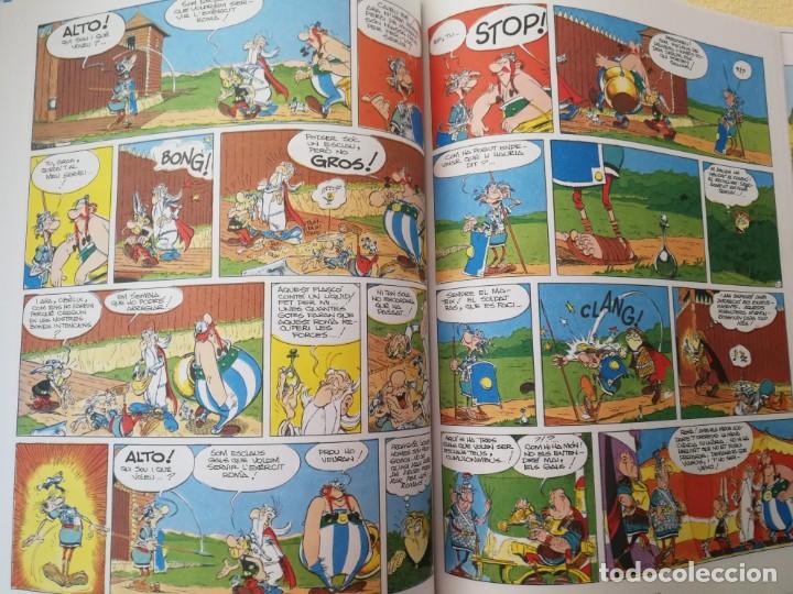 C&oacute;mics: ASTERIX &ndash; LA GRAN RASA &ndash; N&ordm; 25 &ndash; EDICION EN CATALAN &ndash; EDITORIAL SALVAT - Foto 3