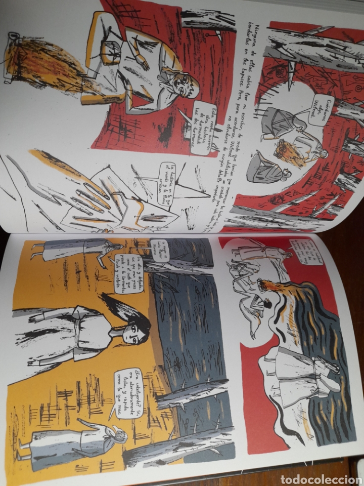 C&oacute;mics: Las 200 noches de Hero. Isabel Greenberg - Foto 3