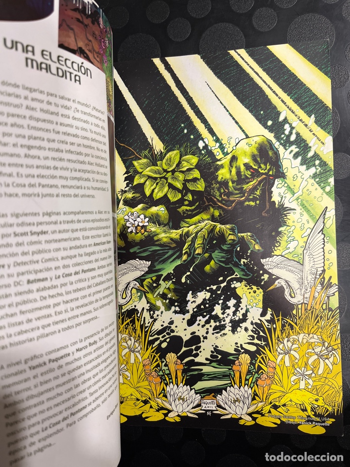 C&oacute;mics: LA COSA DEL PANTANO N.1 NUEVO UNIVERSO DC ECC ( 2012/2015 ) - Foto 3