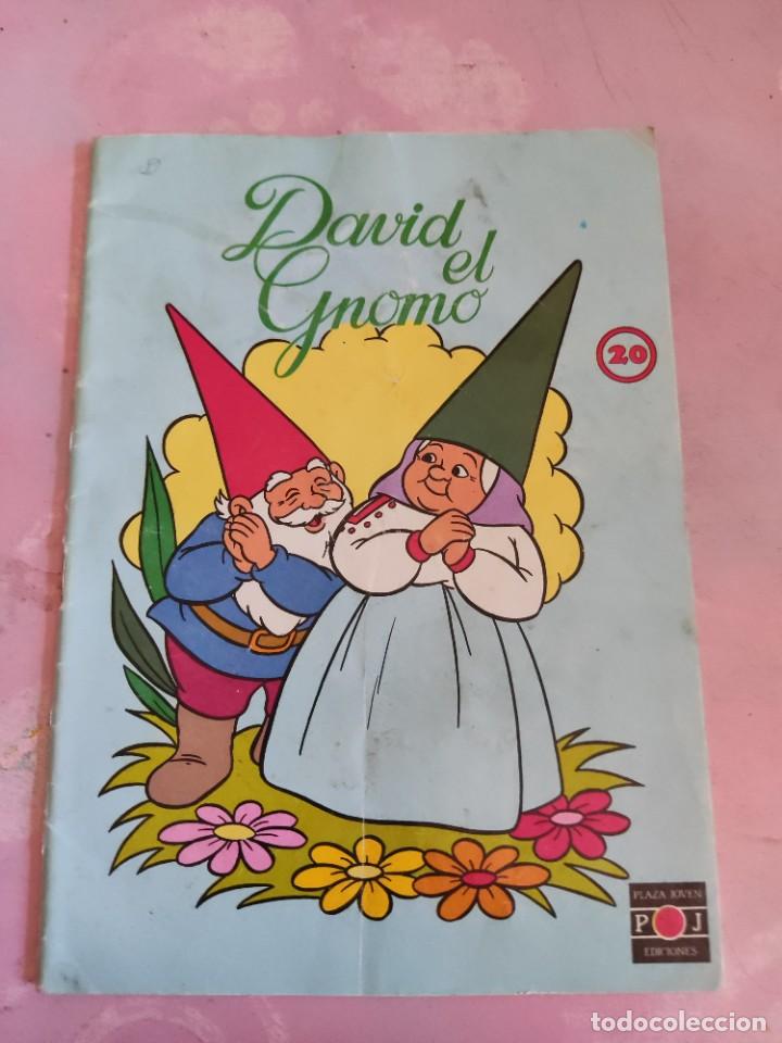 C&oacute;mics: David el Gnomo N&ordm; 7 PLAZA JOVEN MUY DIF&Iacute;CIL - Foto 1