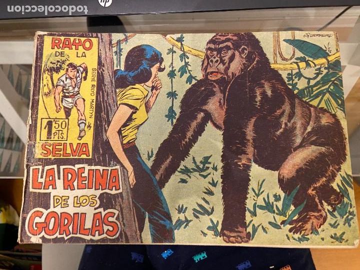 C&oacute;mics: RAYO DE LA SELVA N&ordm; 12 - Foto 1