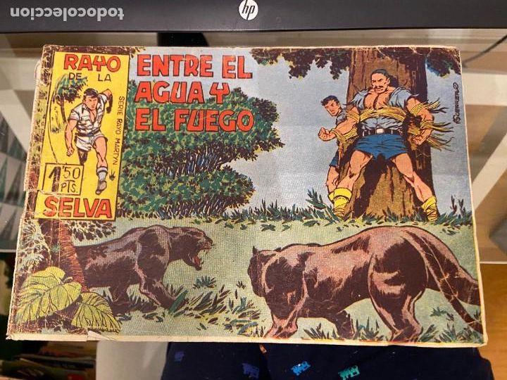 C&oacute;mics: RAYO DE LA SELVA N&ordm; 15 - Foto 1