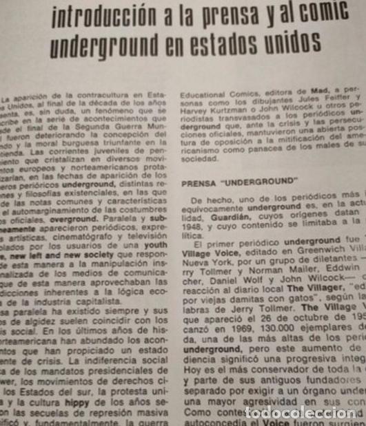 C&oacute;mics: COMIX UNDERGROUND USA. N&ordm;2.1973 - Foto 6