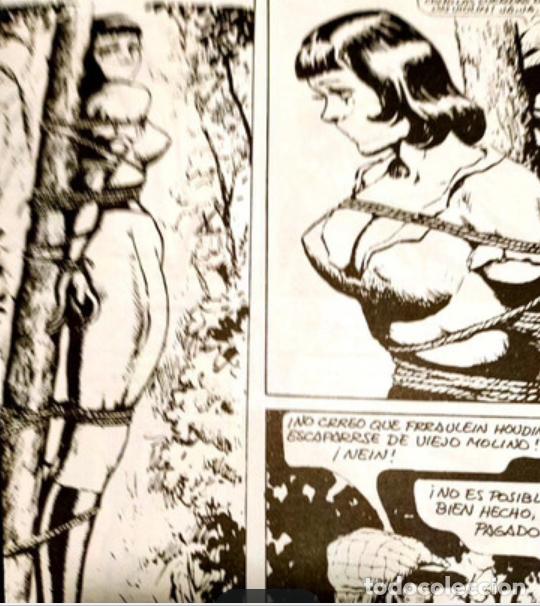 C&oacute;mics: LAS AVENTURAS DE GWENDOLINE. JOHN WILLIE - Foto 5