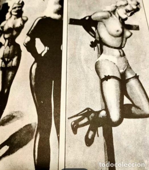 C&oacute;mics: LAS AVENTURAS DE GWENDOLINE. JOHN WILLIE - Foto 8