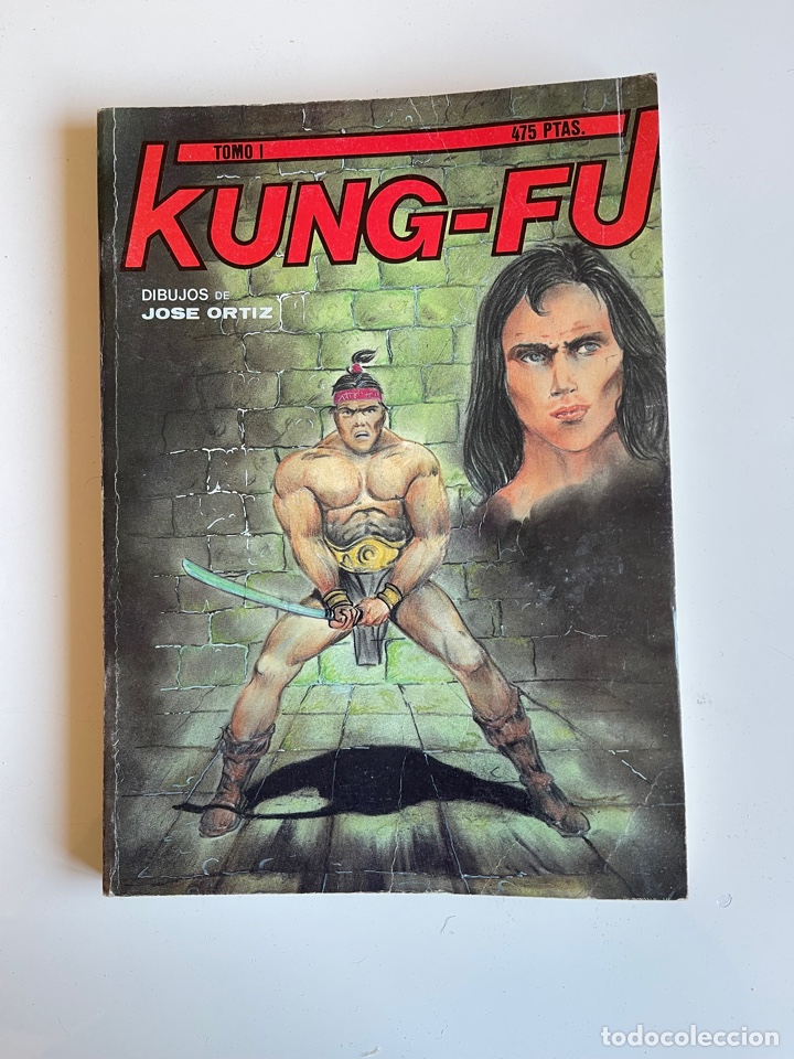 C&oacute;mics: Kung-fu tomo1