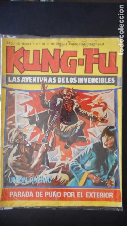 C&oacute;mics: KUNG-FU N&ordm; 43 . ED. AMAIKA/ C-10 - Foto 1