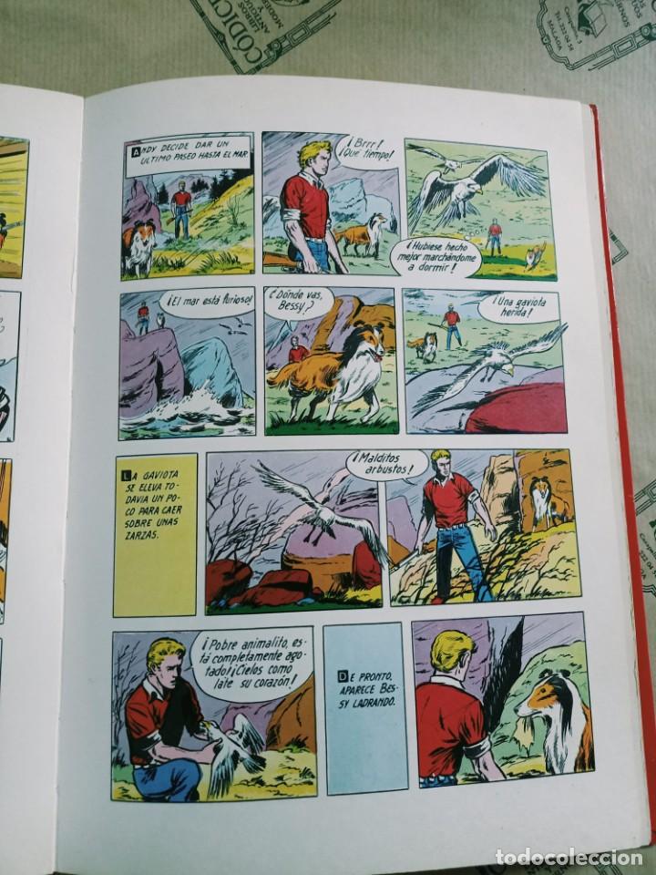C&oacute;mics: BESSY. 5 HISTORIAS COMPLETAS. W. VANDERSTEEN - Foto 2