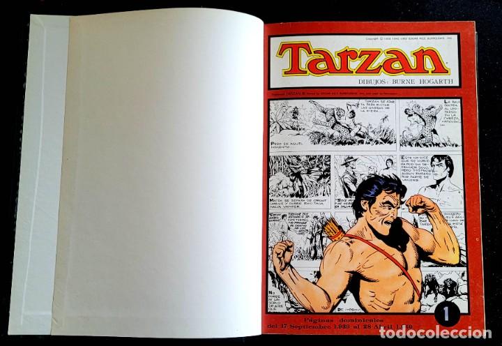 C&oacute;mics: TARZAN - Foto 1