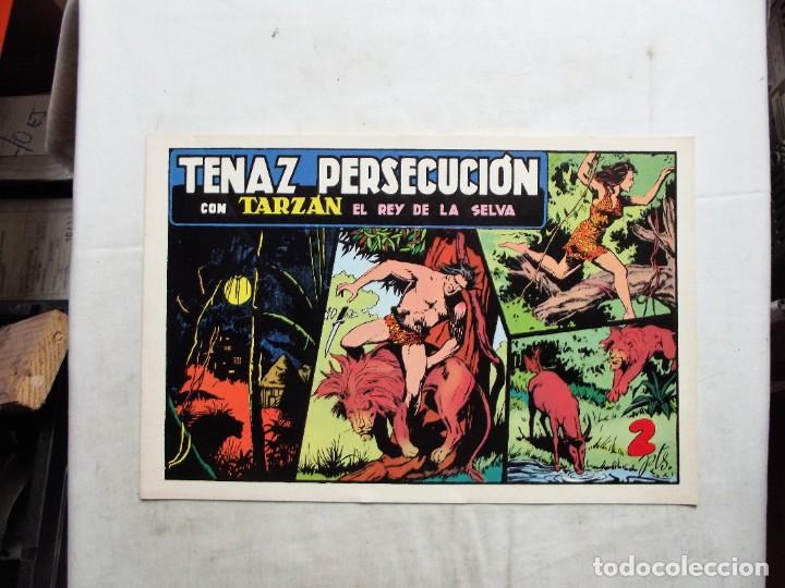 C&oacute;mics: TENAZ PERSECUCION CON TARZAN EL REY DE LA SELVA - Foto 1