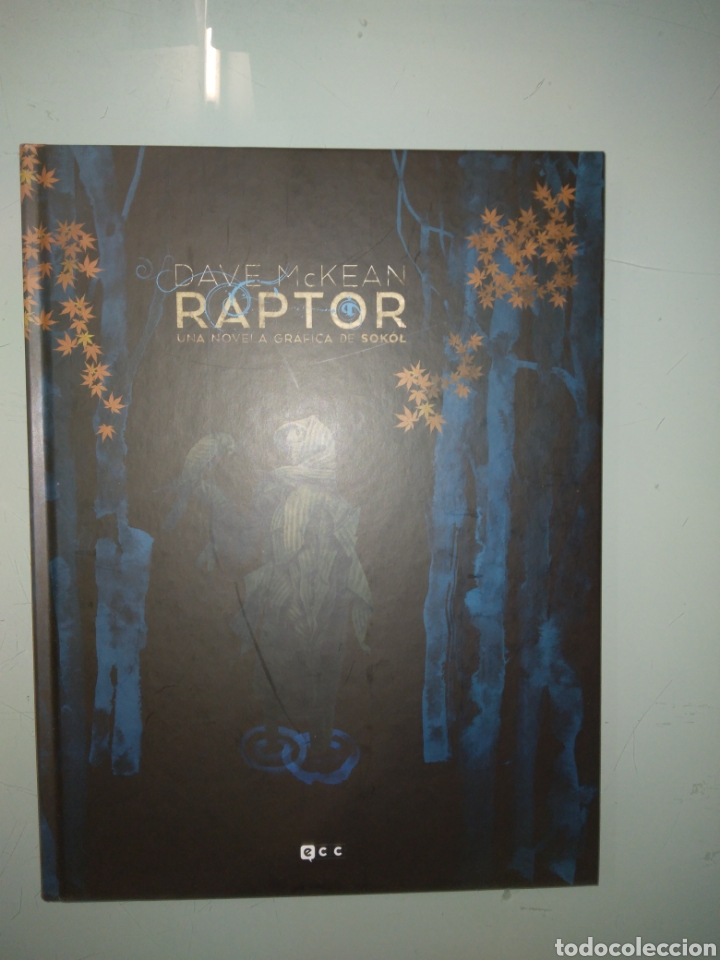 C&oacute;mics: Raptor, Dave Mckean, Una novela gr&aacute;fica de Sokol,ECC - Foto 1