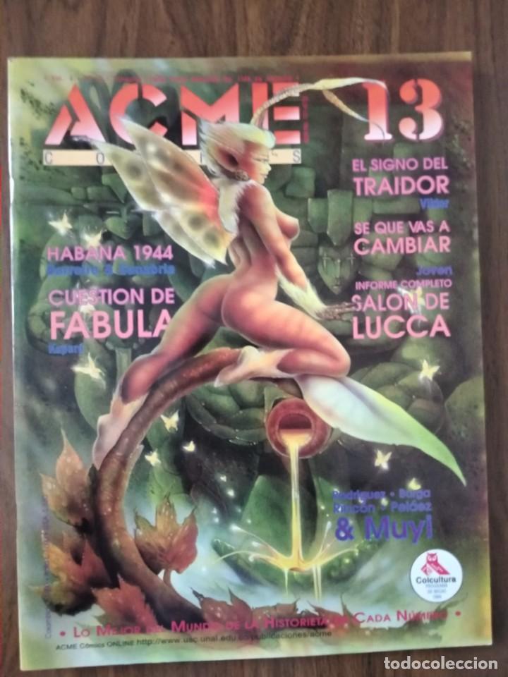 C&oacute;mics: ACME 13 - Varios Autores - Foto 1