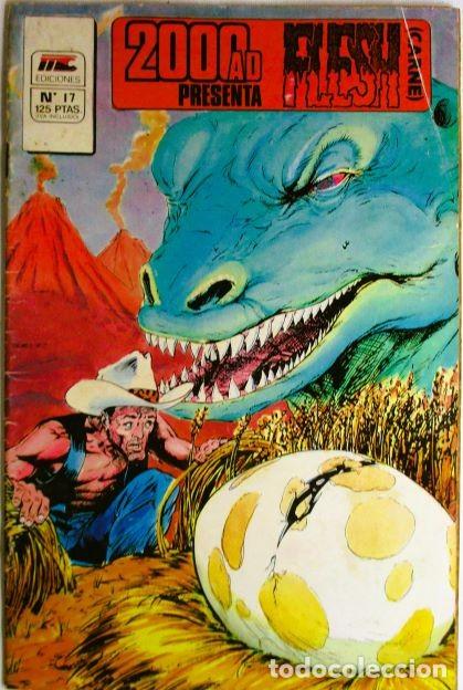 C&oacute;mics: Flesh 17 - Foto 1