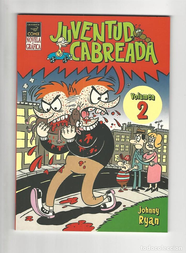 C&oacute;mics: La c&uacute;pula. Novela gr&aacute;fica. Juventud cabreada. 2. Johnny Ryan. - Foto 1