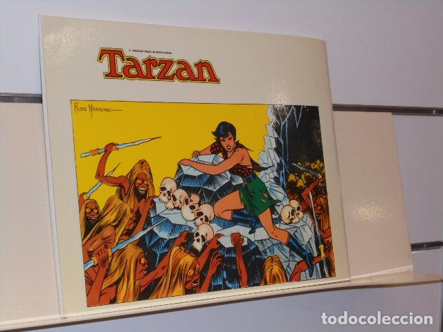 C&oacute;mics: TARZAN N&ordm; 3 RUSS MANNING - EDICIONES B.O. - Foto 2