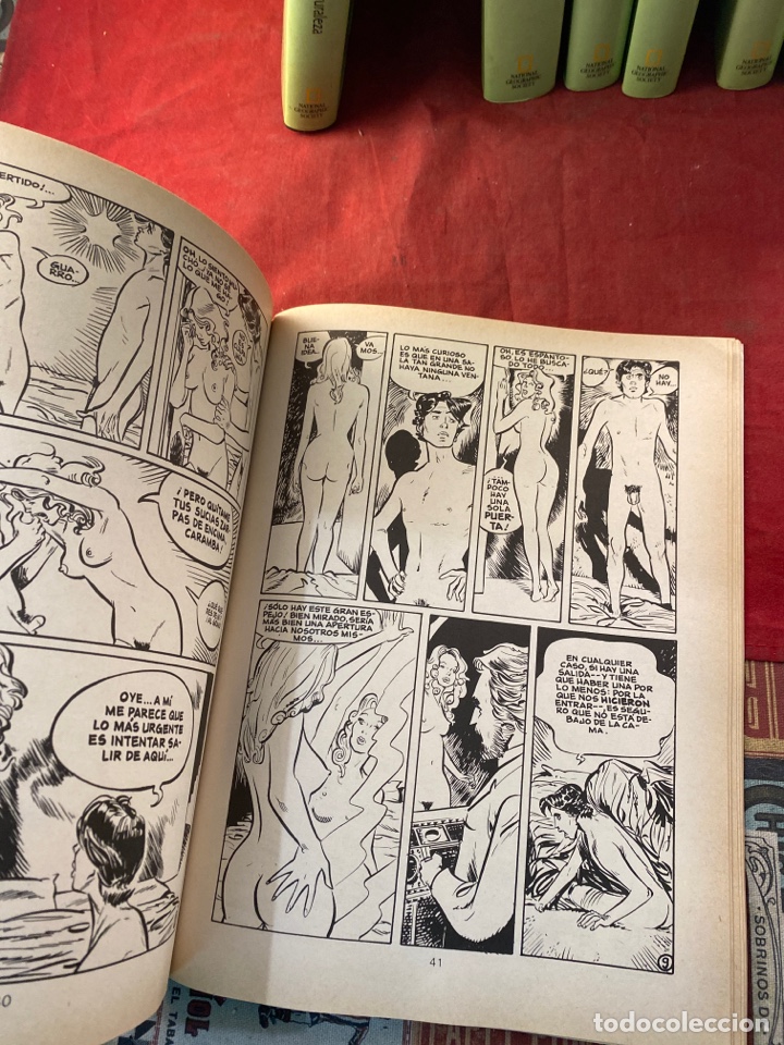 C&oacute;mics: Enciclopedia afrodis&iacute;aca - Foto 2