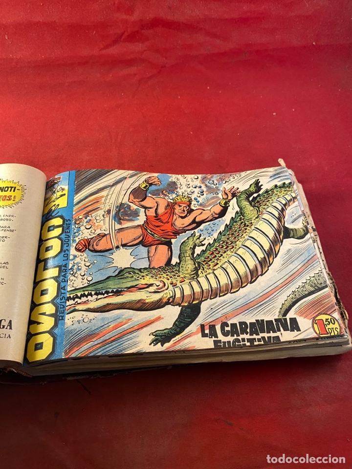 C&oacute;mics: EL COLOSO. 49 n&uacute;meros encuadernados - Foto 17