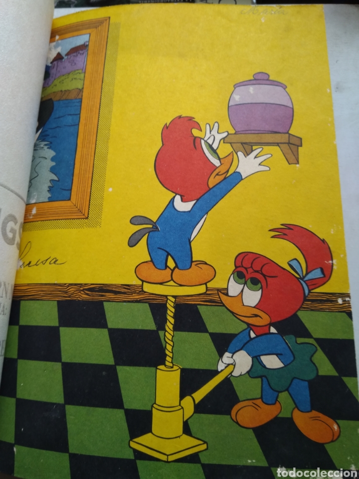C&oacute;mics: PAJARO LOCO/EDICIONES LAIDA - Foto 5