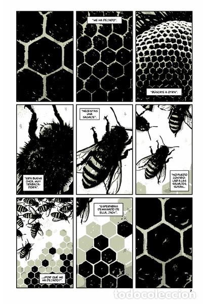C&oacute;mics: C&oacute;mics. Semillas - Ann Nocenti/David Aja - Foto 2