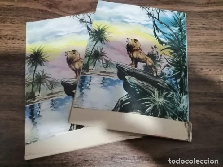 C&oacute;mics: 2 COMIC DE KALAR EL REY DE LA SELVA - Foto 2
