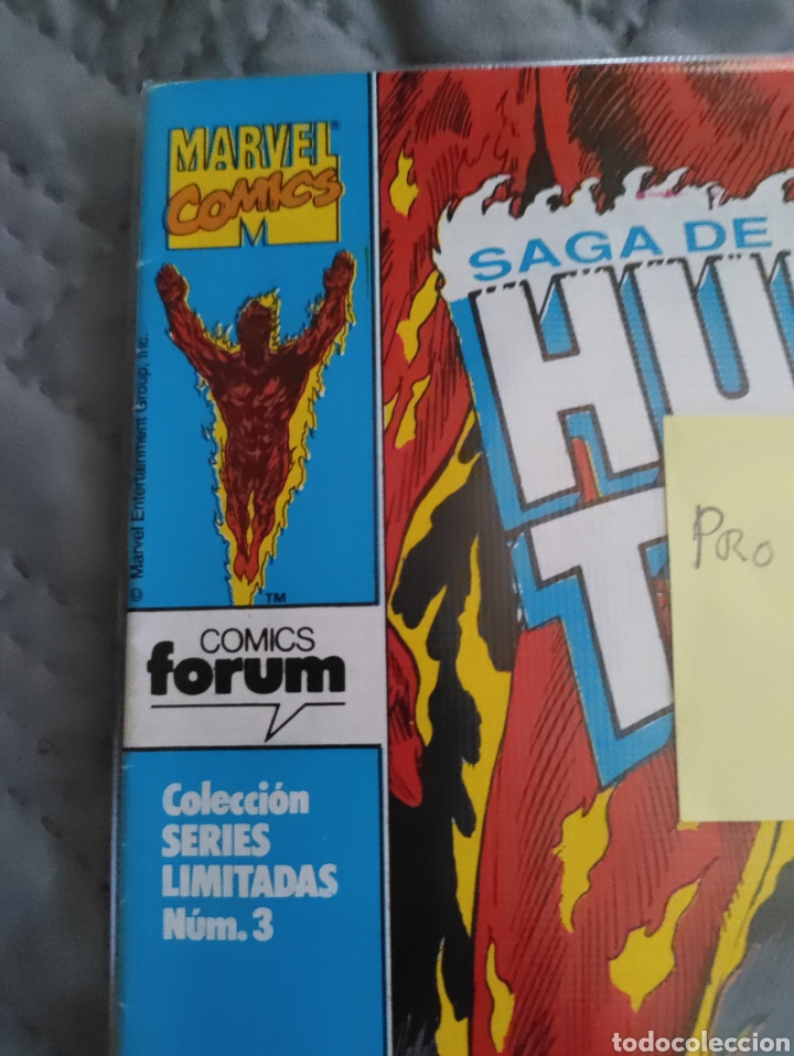 C&oacute;mics: C&oacute;mic Antorcha Humana n3 - Foto 5