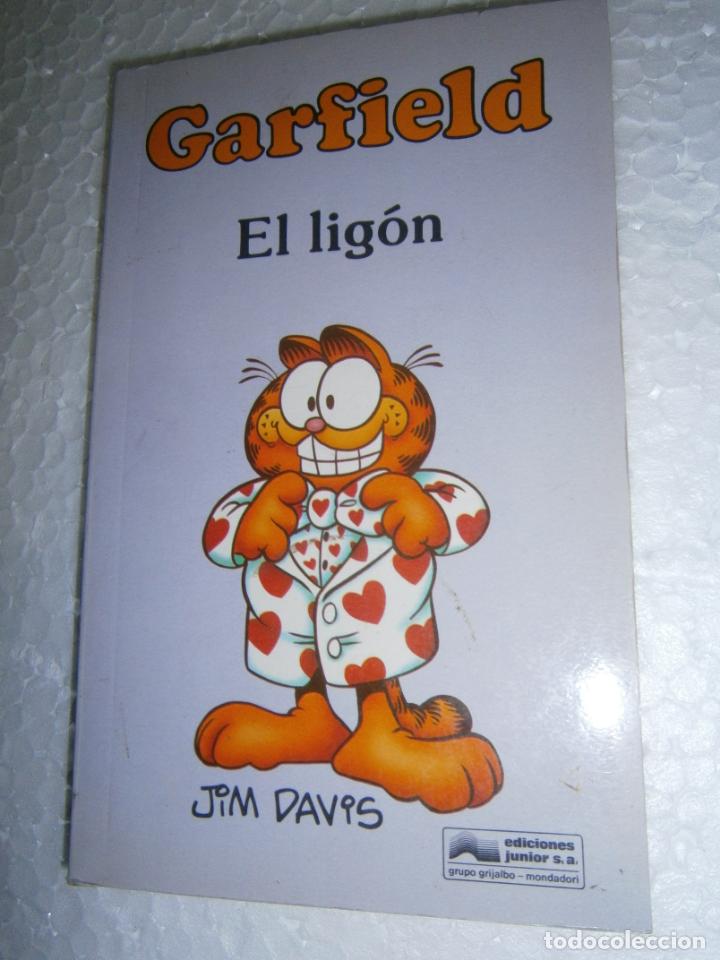 C&oacute;mics: ANTIGUO COMIC GARFIELD - Foto 1