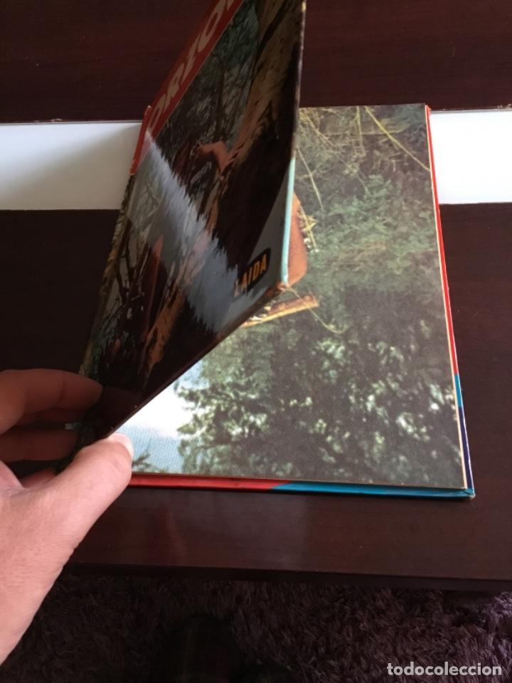 C&oacute;mics: Atenci&oacute;n error antiguo c&oacute;mic Orzowei editado al rev&eacute;s - Foto 2