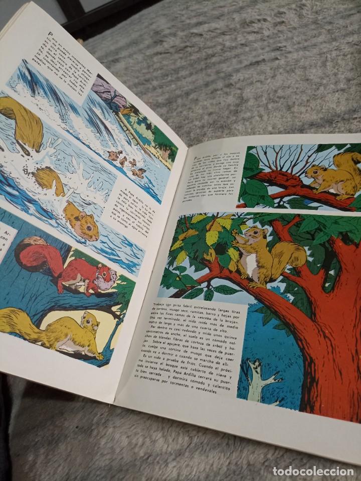 C&oacute;mics: Comic Walt Disney el elefante Dumbo 1968 - Foto 2