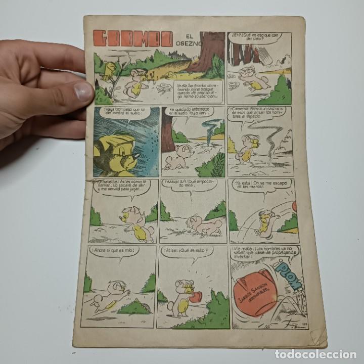 C&oacute;mics: GROMBO - EL OSEZNO - N&ordm; 268 - COMIC / 60 - Foto 1