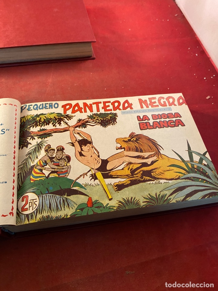C&oacute;mics: PEQUE&Ntilde;O PANTERA NEGRA. 2 tomos n&uacute;meros 226 al 329 - Foto 13