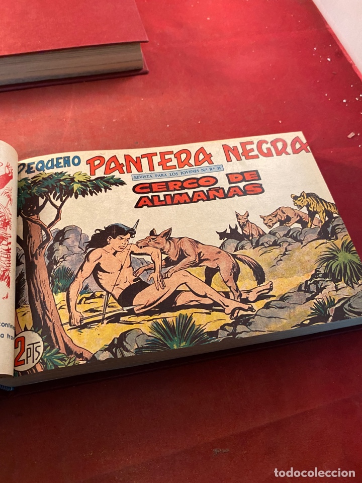 C&oacute;mics: PEQUE&Ntilde;O PANTERA NEGRA. 2 tomos n&uacute;meros 226 al 329 - Foto 23