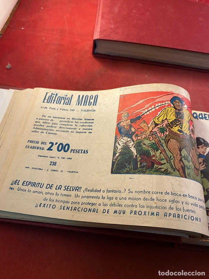 C&oacute;mics: PEQUE&Ntilde;O PANTERA NEGRA. 2 tomos n&uacute;meros 226 al 329 - Foto 28