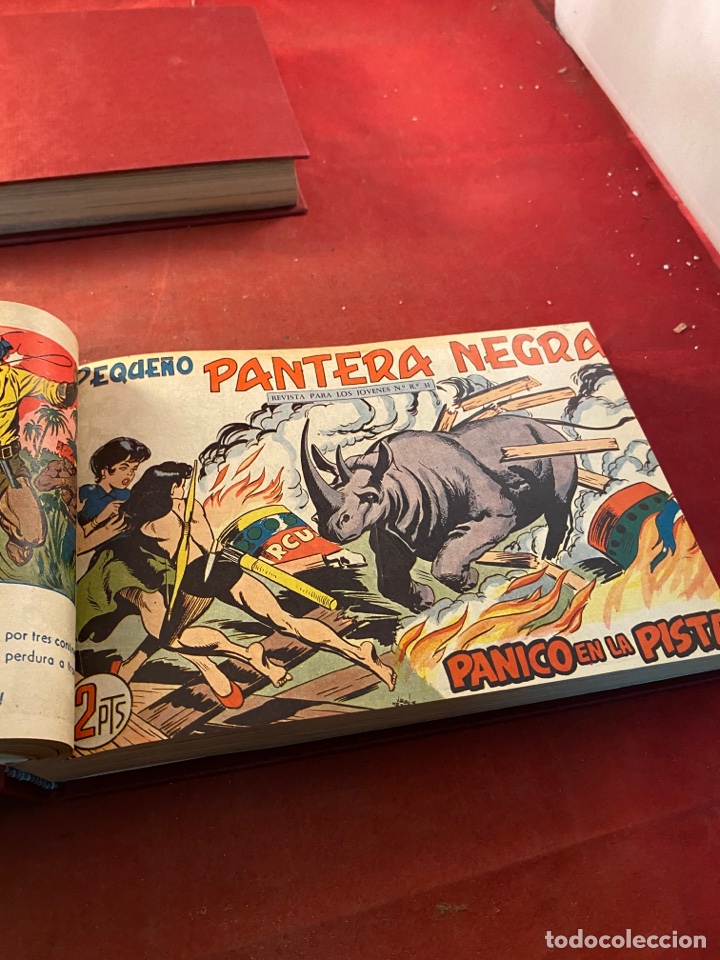 C&oacute;mics: PEQUE&Ntilde;O PANTERA NEGRA. 2 tomos n&uacute;meros 226 al 329 - Foto 29