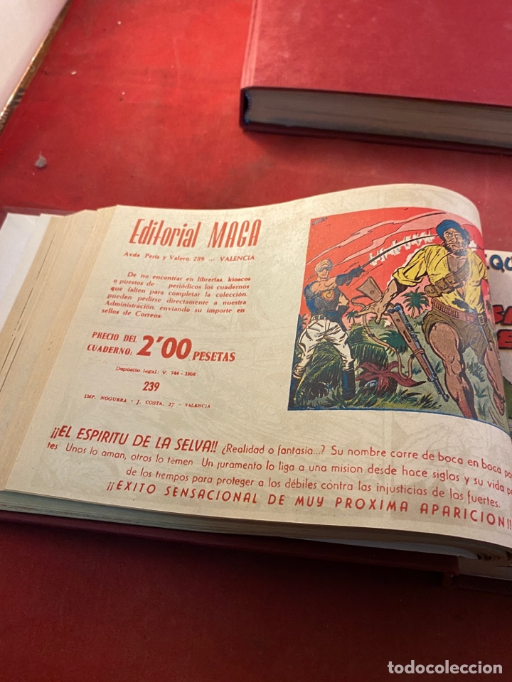 C&oacute;mics: PEQUE&Ntilde;O PANTERA NEGRA. 2 tomos n&uacute;meros 226 al 329 - Foto 30