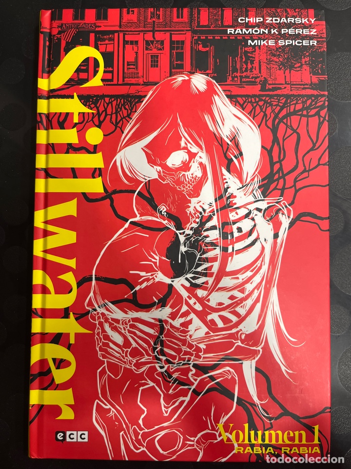C&oacute;mics: STILLWATER VOLUMEN 1 RABIA RABIA de CHIP ZDARSKY ECC SKYBOUND ( 2021/2022 )