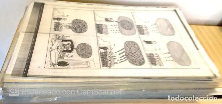 C&oacute;mics: TRANSPARENCIAS DE HUMORISTAS, QUINO Y VARIOS - Foto 6
