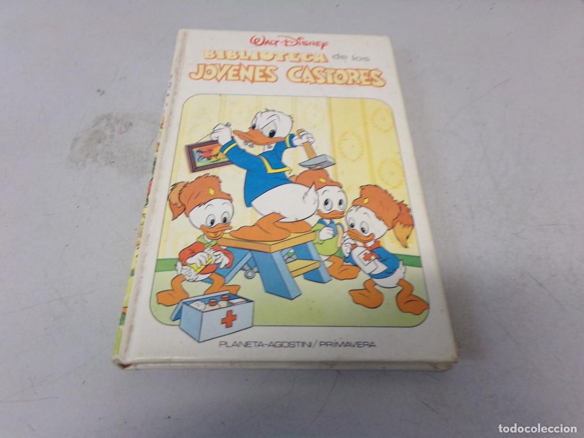 Comics : WALT DISNEY.BIBLIOTECA DE LOS JOVENES CASTORES.N&ordm; 2