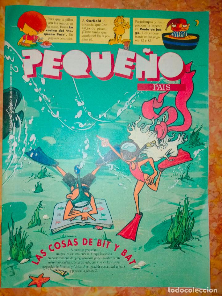 C&oacute;mics: COMIC EL PEQUE&Ntilde;O PAIS - Foto 1