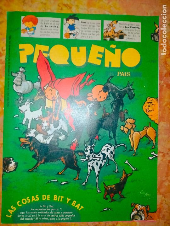 C&oacute;mics: COMIC EL PEQUE&Ntilde;O PAIS - Foto 1