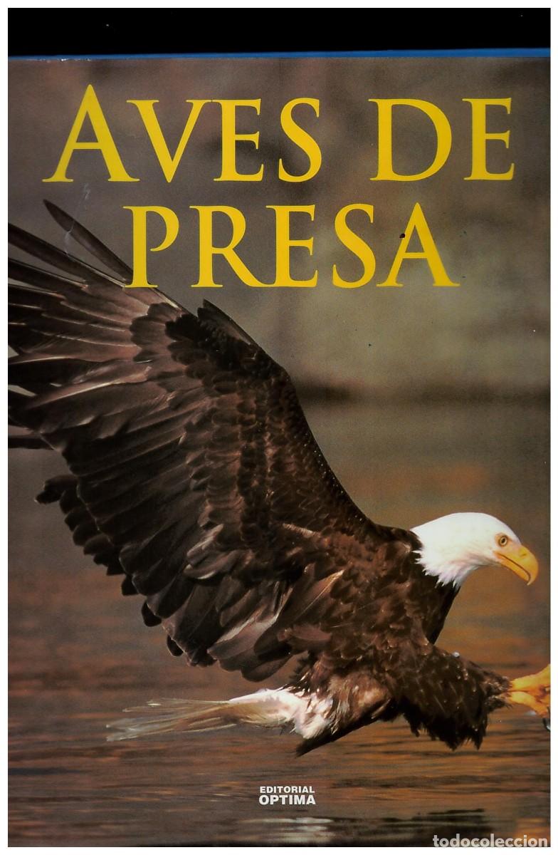 C&oacute;mics: Aves de presa, editorial Optima en buen estado - Foto 1