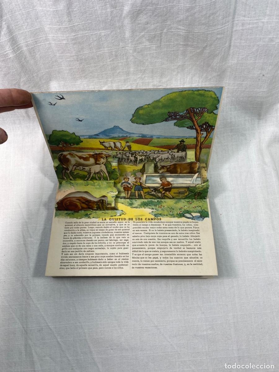 C&oacute;mics: La Vida en el Campo. Alb&uacute;m Relieve n&uacute;mero 5. +-----------------------+ - Foto 4